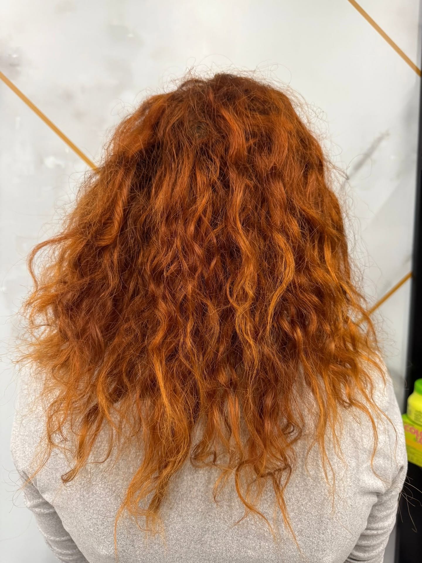 Hair before treatment — dry copper texture